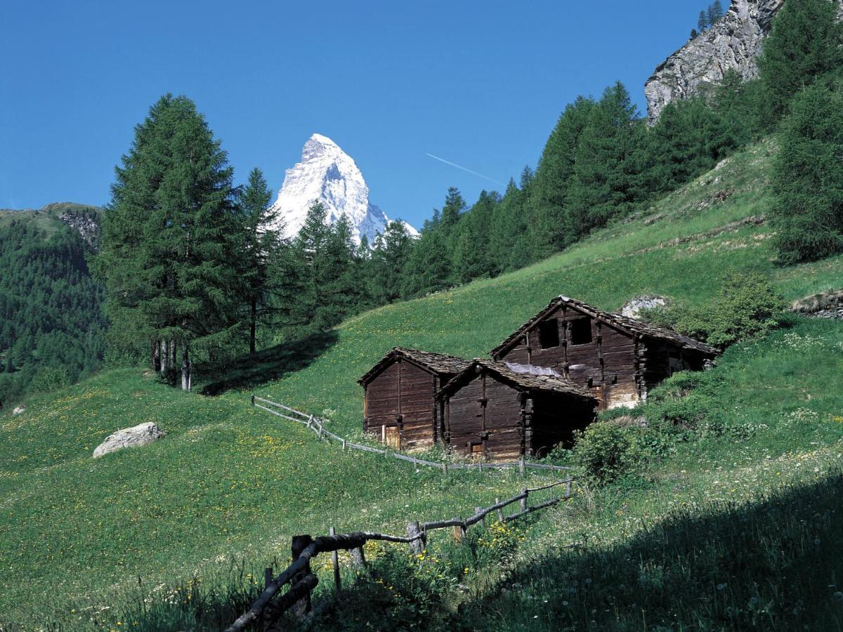 Apartment Lauberhaus By Interhome Zermatt Exteriör bild